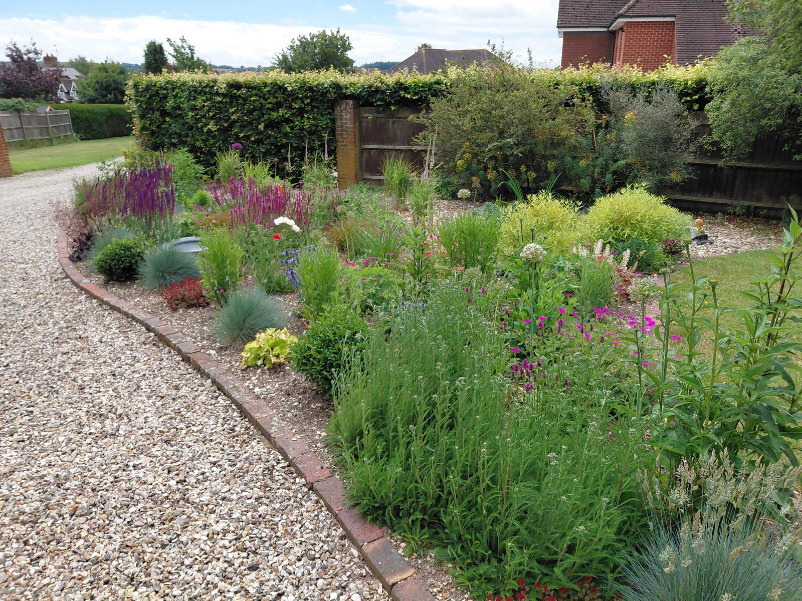 Gravel border of salvias and grasses, Overton
