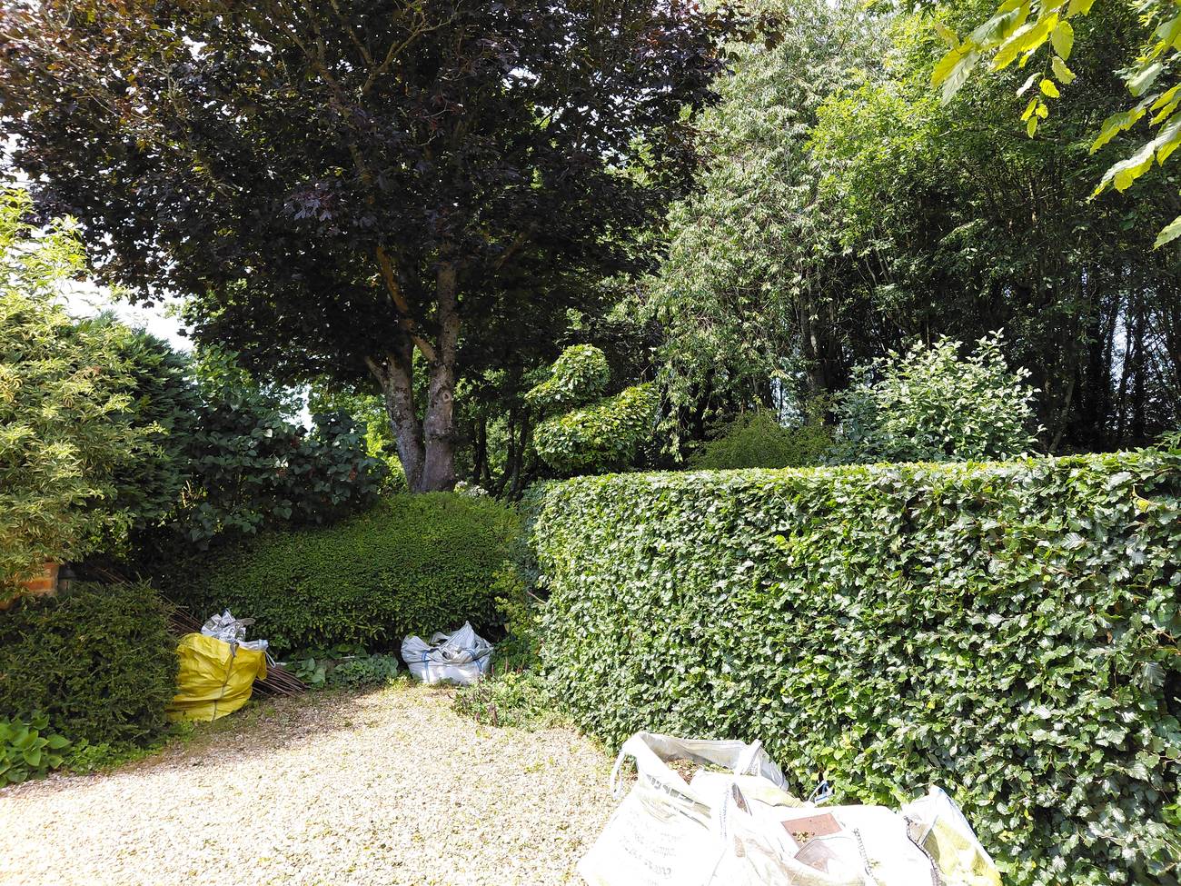 Clipped topiary and hedging